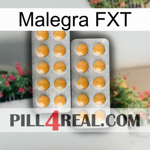 Malegra FXT levitra2.jpg